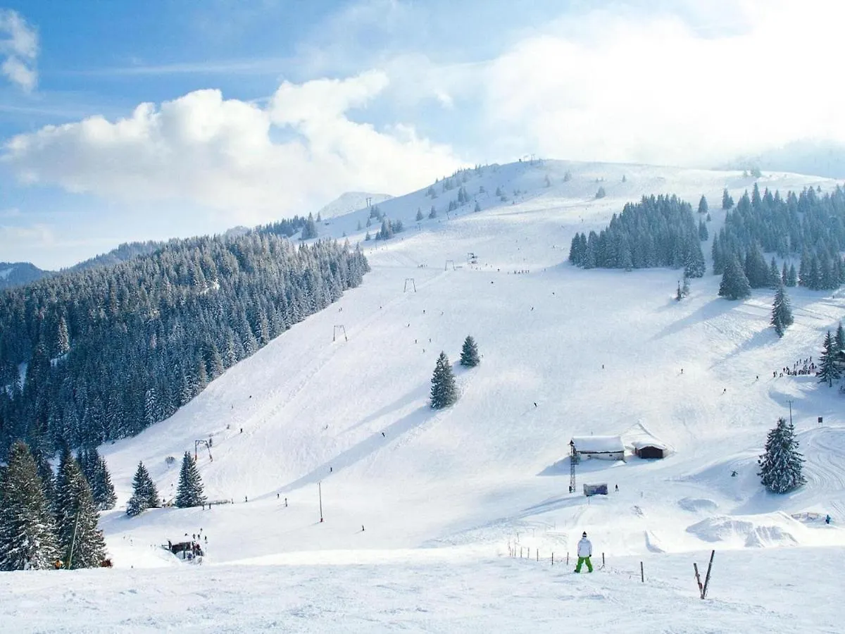 Amazing Apartment In Bayrischzell With Wellness Německo